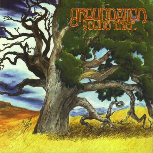 Groundation Young Tree COMPACT DISCS CD Best Buy Groundation Young Tree COMPACT DISCS CD Best Buy