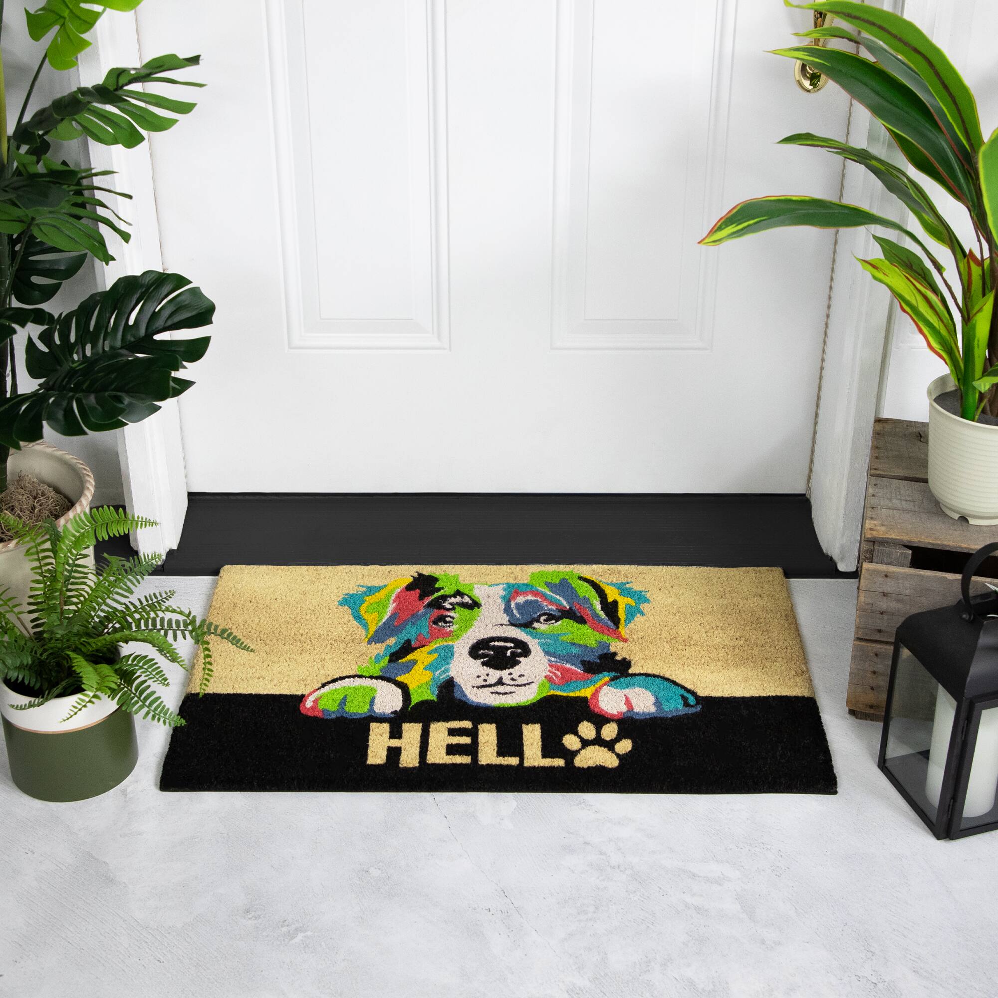 Alt View 1. Northlight - Ivory and Black "Hello" Multicolor Dog Outdoor Coir Doormat 18" x 30" - Multi.