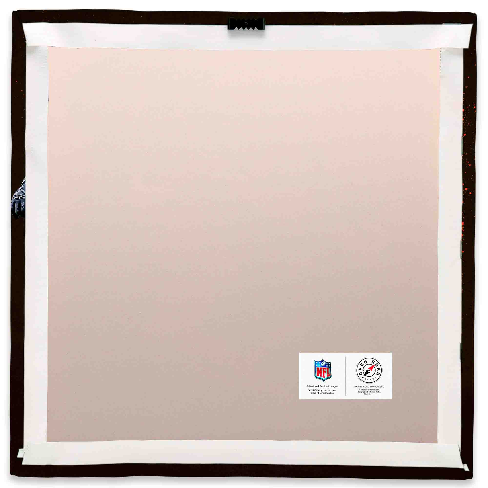 NFL  
National Football League  
©2016 NFL Properties, LLC  
All Rights Reserved  
©2016 NFL PRO IMAGE, LLC  
All Rights Reserved