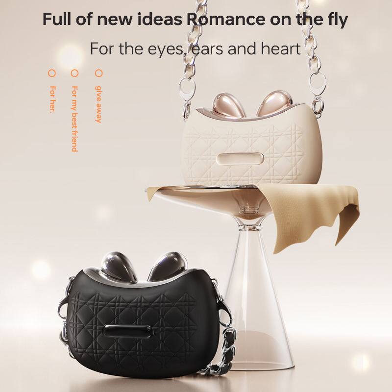 Full of new ideas  
Romance on the fly  
For the eyes, ears and heart  

For her.  
For my best friend  
give away