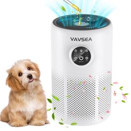 VAVSEA - Air Purifier D10 with HEPA Filter for Large Rooms up to 1350 sq ft - White