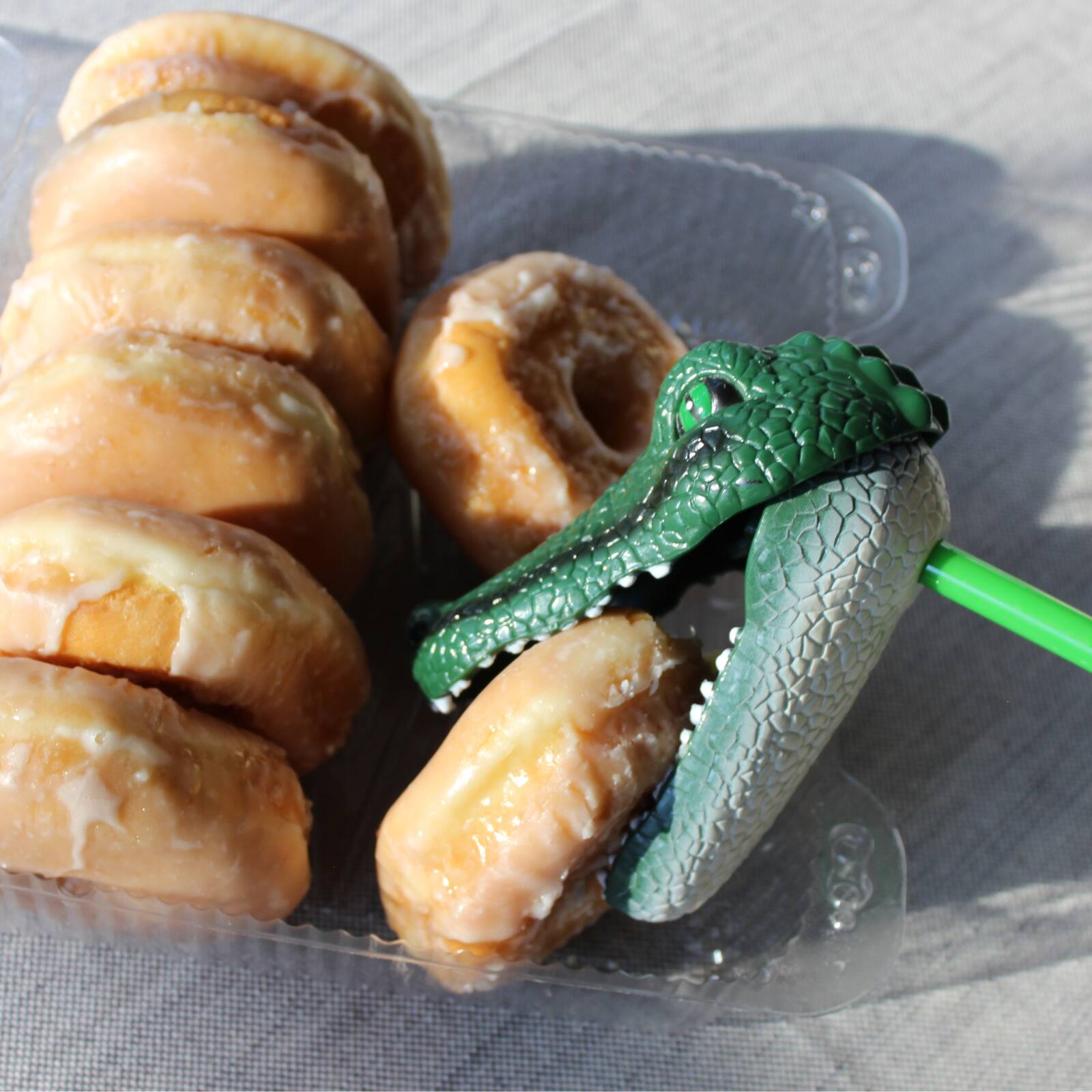 Angle. Safari Ltd. - Snapper Alligator Toy.