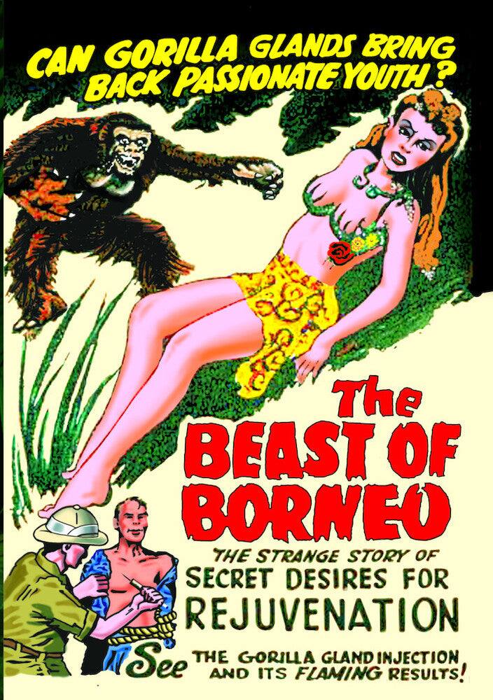 Front. The Beast of Borneo - DVD.