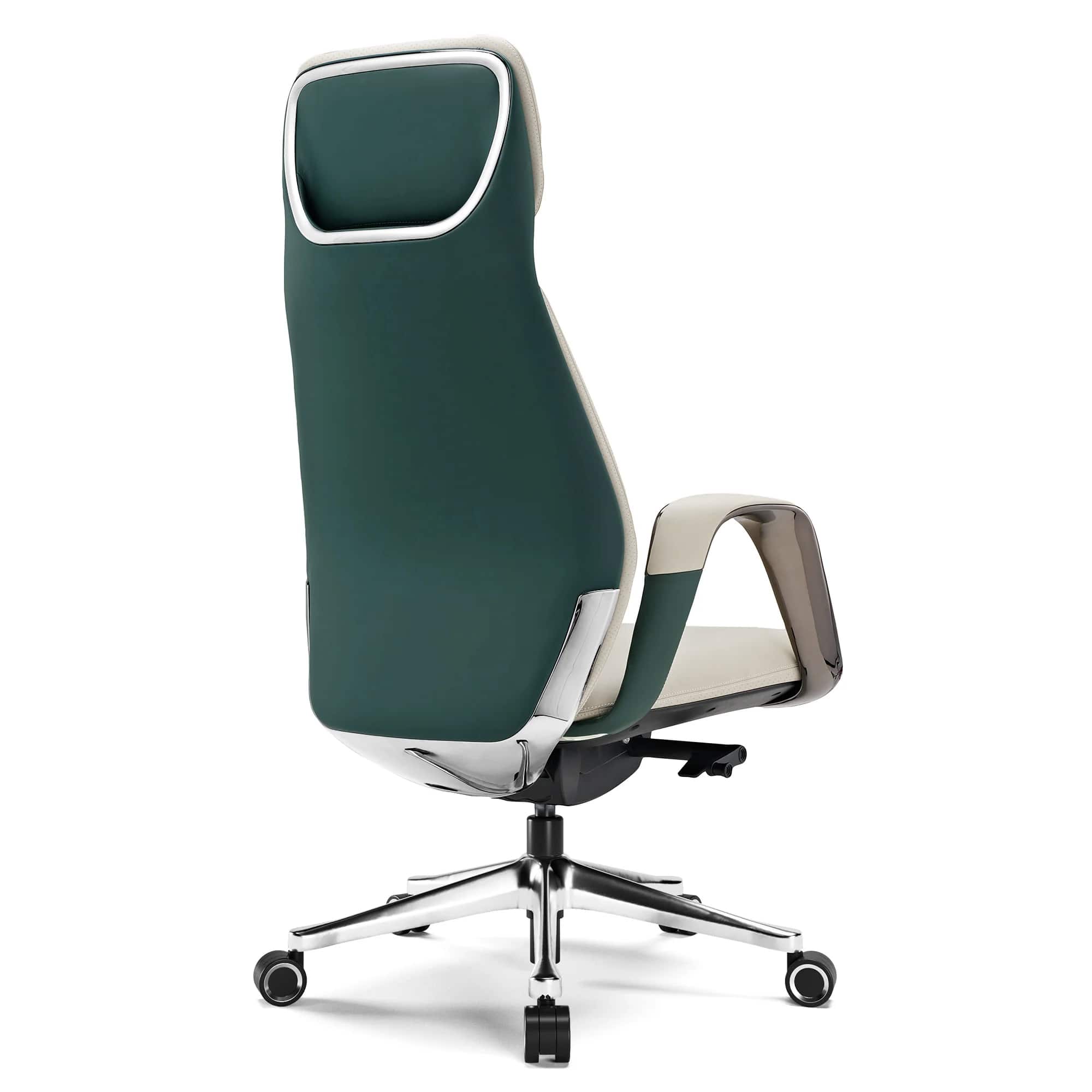 Eureka Ergonomic Ergonomic Executive Office Chair with Lumbar