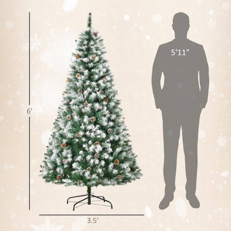 5'11"  
6'  
3.5'