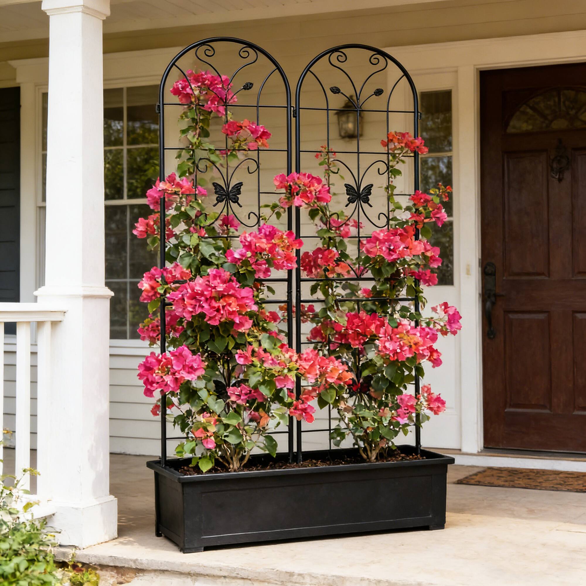 Angle. Loheer - 2 Pack Metal Garden Trellis for Climbing Plants Outdoor Flower Support - Black.