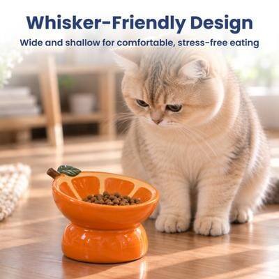 Whisker-Friendly Design  
Wide and shallow for comfortable, stress-free eating