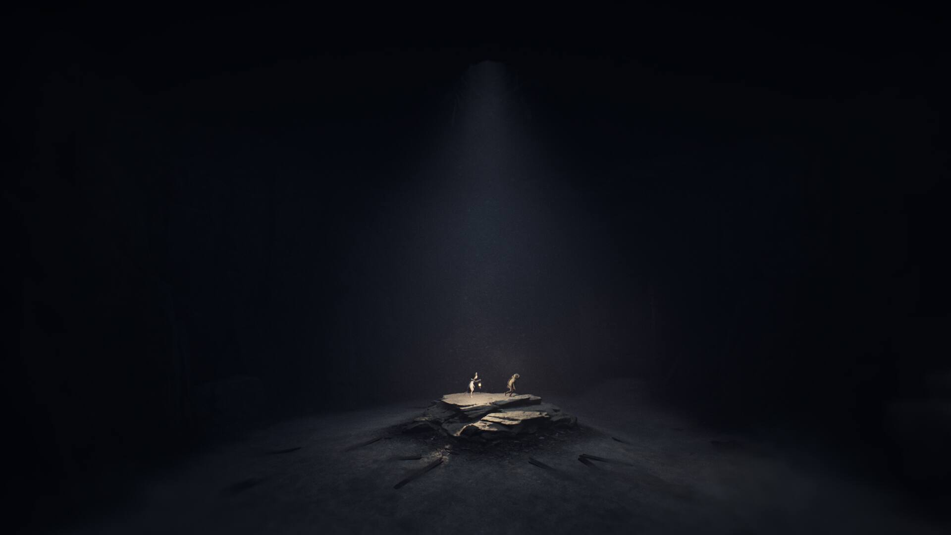 Alt View 2. THQ Nordic Games - REANIMAL.