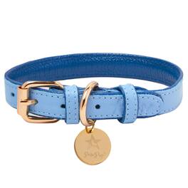 PoisePup - Genuine Leather Dog Collar - Handmade, Adjustable & Soft - Saxe Blue | Baby Blue