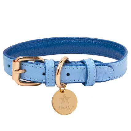 Front. PoisePup - Genuine Leather Dog Collar - Handmade, Adjustable & Soft - Saxe Blue | Baby Blue.