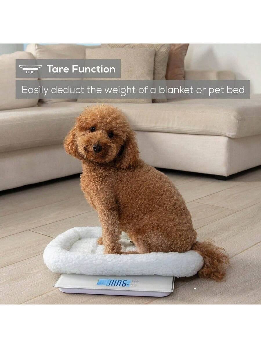 Tare Function  
Easily deduct the weight of a blanket or pet bed