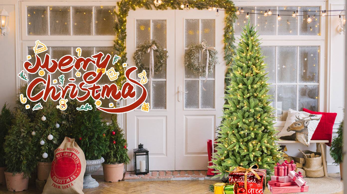 Merry Christmas

A special delivery not open until Christmas from Santa