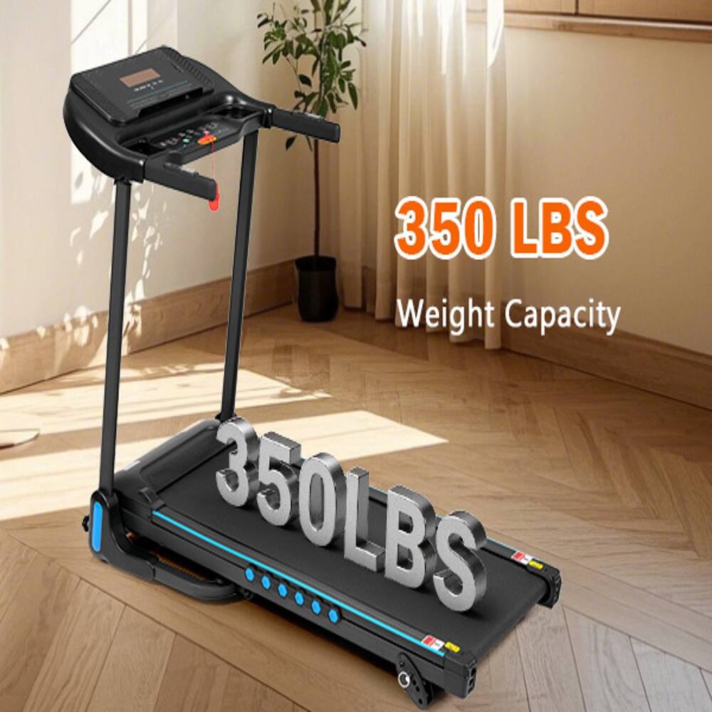 350 LBS Weight Capacity