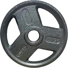 Amber Sporting Goods - Tri-Grip Cast Iron Weight Plates for Strength Training, Rust Resistant, Ideal for Squats & Lifts, 25 lb Pair - Black