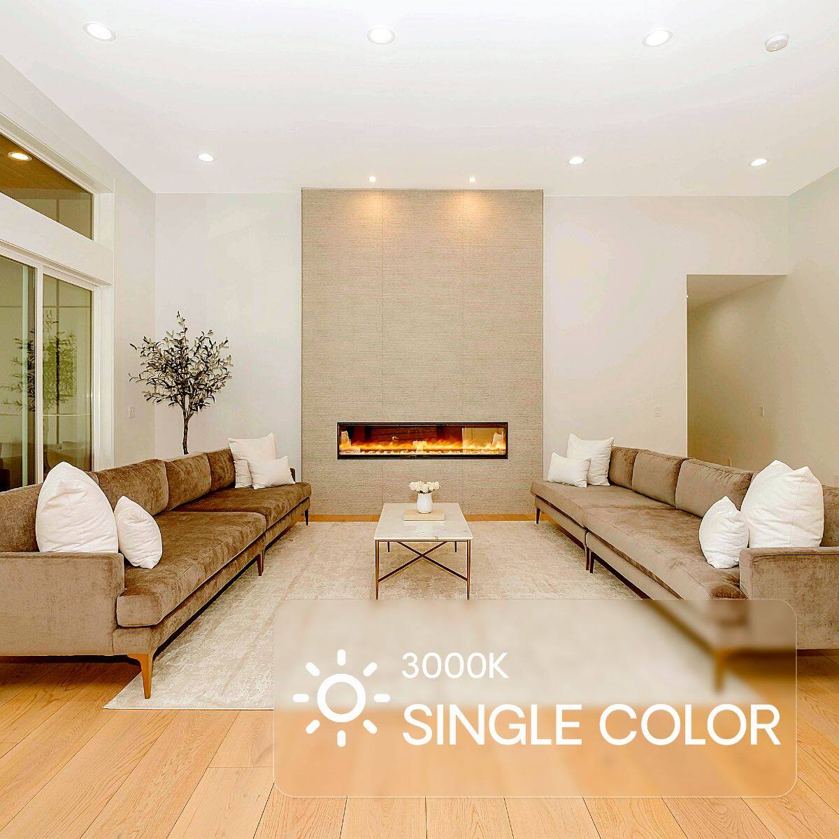 3000K SINGLE COLOR