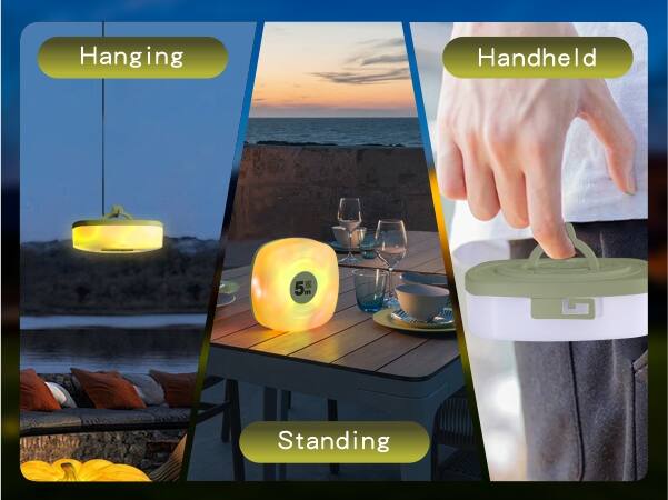 Hanging  
Handheld  
Standing