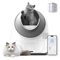 CATLINK