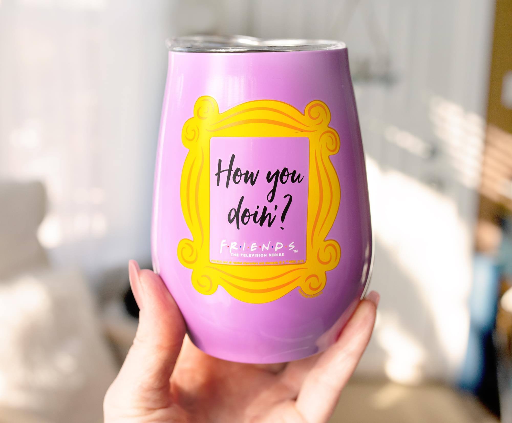 How you doin'?

F.R.I.E.N.D.S.
The Television Series