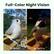 Full-Color Night Vision
Daytime
Nighttime