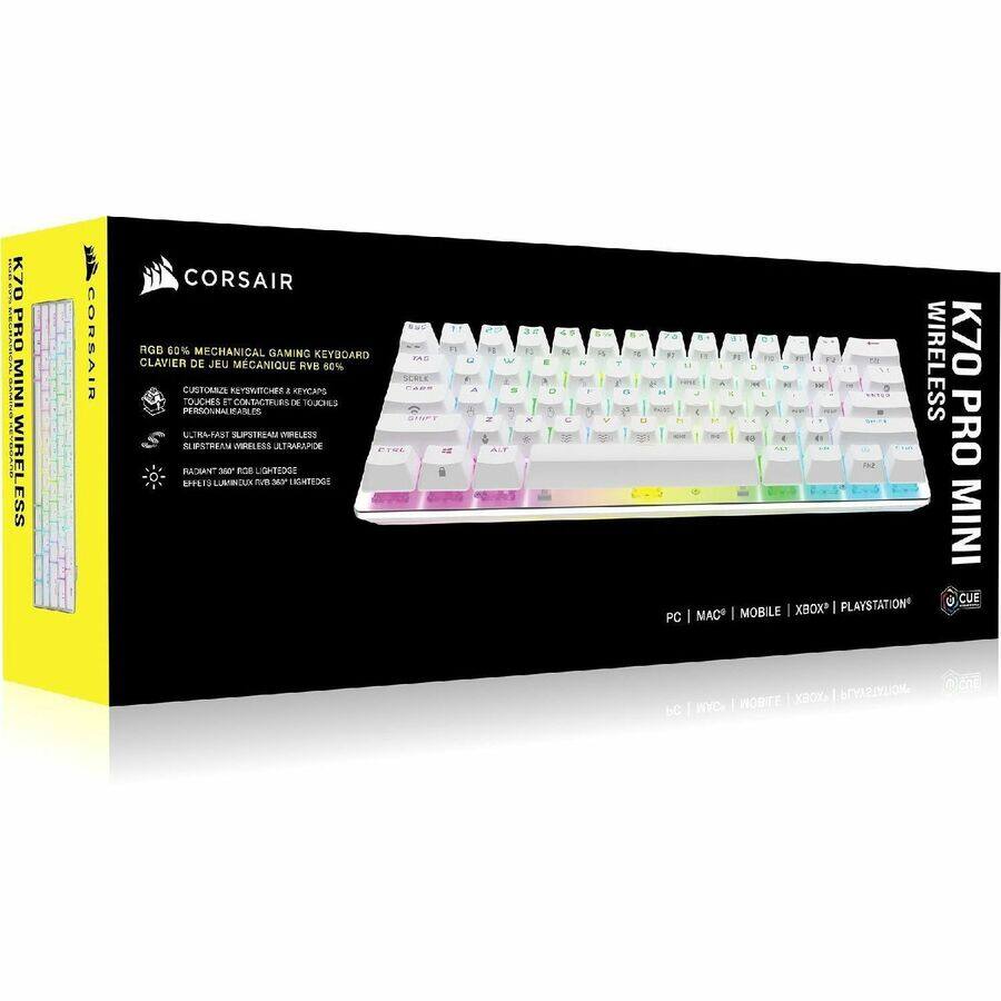 K70 PRO MINI WIRELESS  
CORSAIR RGB 60% MECHANICAL GAMING KEYBOARD  
CLAVIER DE JEU MÉCANIQUE RVB 60%  
CUSTOMISABLE SWITCHES & KEYCAPS  
PERSONNALISABLES  
ULTRA-FAST SLIPSTREAM WIRELESS  
SLIPSTREAM WIRELESS ULTRA-RAPIDE  
RÉGLABLES 3000 RGB LEDS  
RÉGLABLES 3000 LEDS RGB  
PERSONNALISABLES  
PERSONNALISABLES  
PERSONNALISABLES  
PERSONNALISABLES  
PERSONNALISABLES  
PERSONNALISABLES  
PERSONNALISABLES  
PERSONNALISABLES  
PERSONNALISABLES  
PERSONNALISABLES  
PERSONNALISABLES  
PERSONNALISABLES  
PERSONNALISABLES  
PERSONNALISABLES  
PERSONNALISABLES  
PERSONNALISABLES  
PERSONNALISABLES  
PERSONNALISABLES  
PERSONNALISABLES  
PERSONNALISABLES  
PERSONNALISABLES  
PERSONNALISABLES  
PERSONNALISABLES  
PERSONNALISABLES  
PERSONNAL