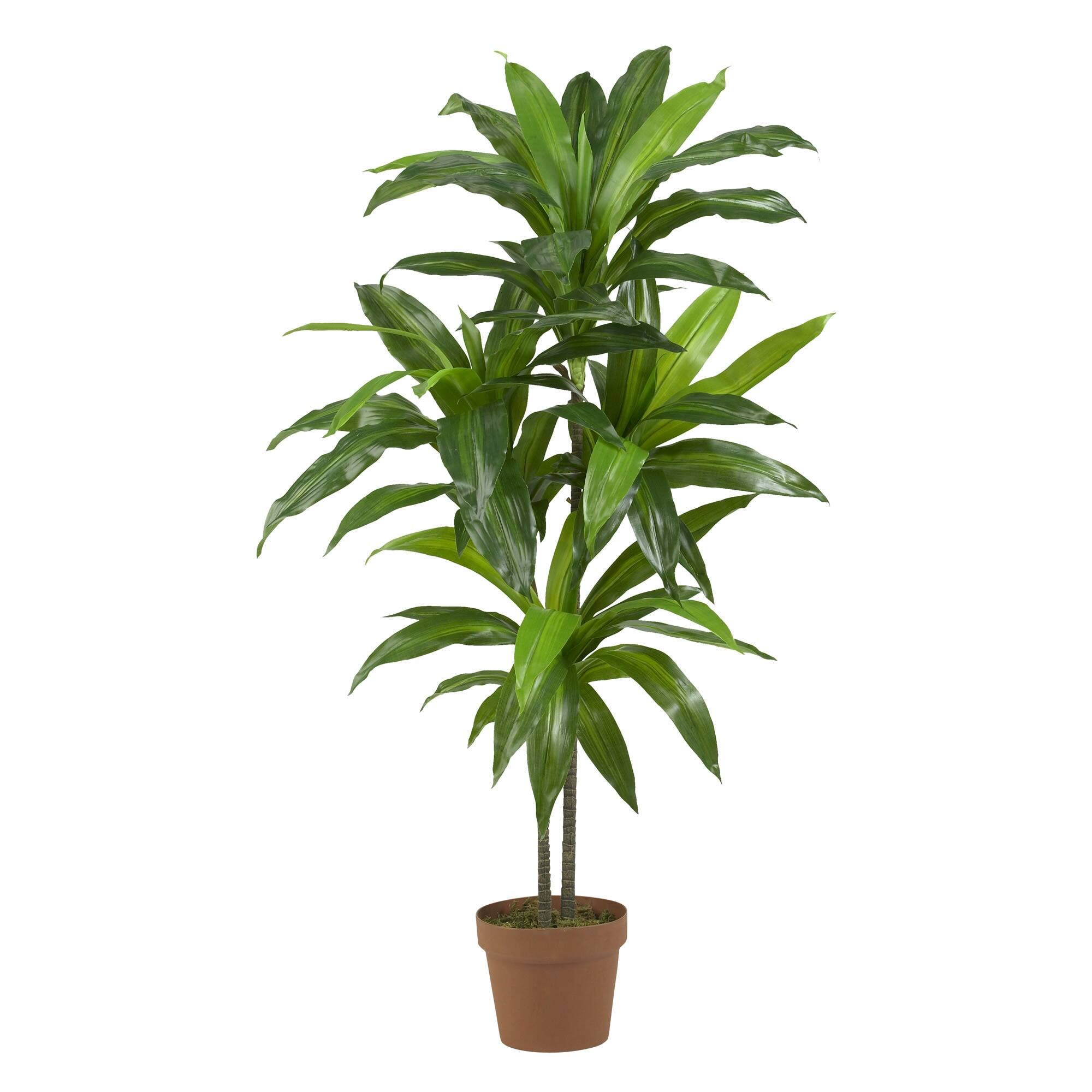 BreeBe - 4' Dracaena (Real Touch) - Green