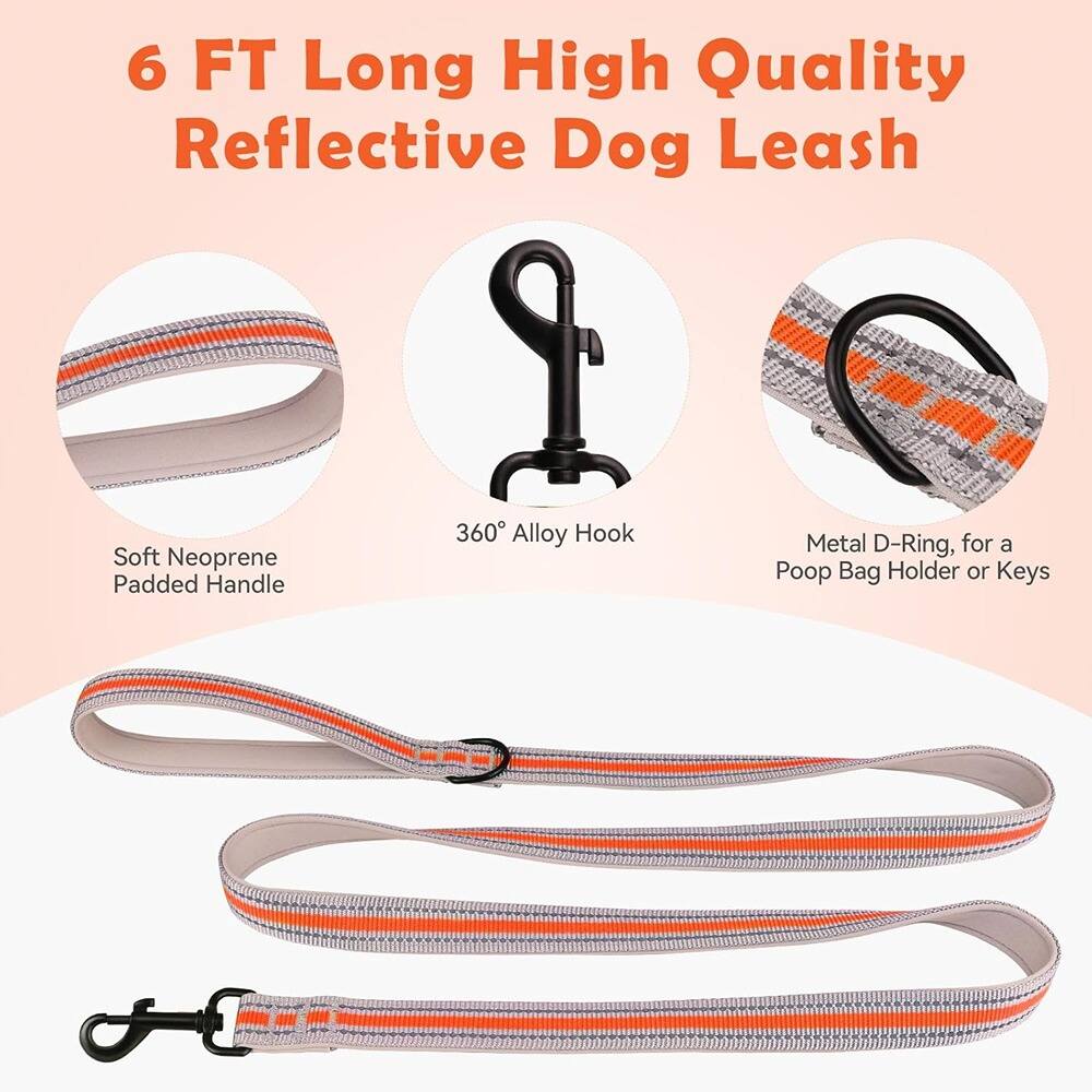 6 FT Long High Quality Reflective Dog Leash

- Soft Neoprene Padded Handle
- 360° Alloy Hook
- Metal D-Ring, for a Poop Bag Holder or Keys