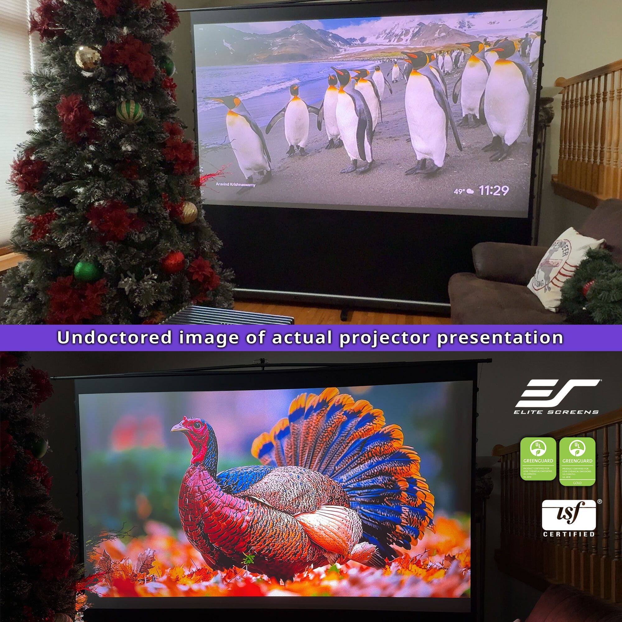 Undoctored image of actual projector presentation

ELITE SCREENS

GREENGUARD
GREENGUARD
CERTIFIED

vsf
CERTIFIED