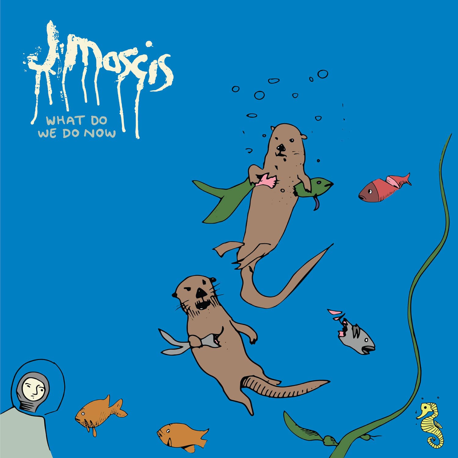 Kllo Backwater COMPACT DISCS [CD] - Best Buy