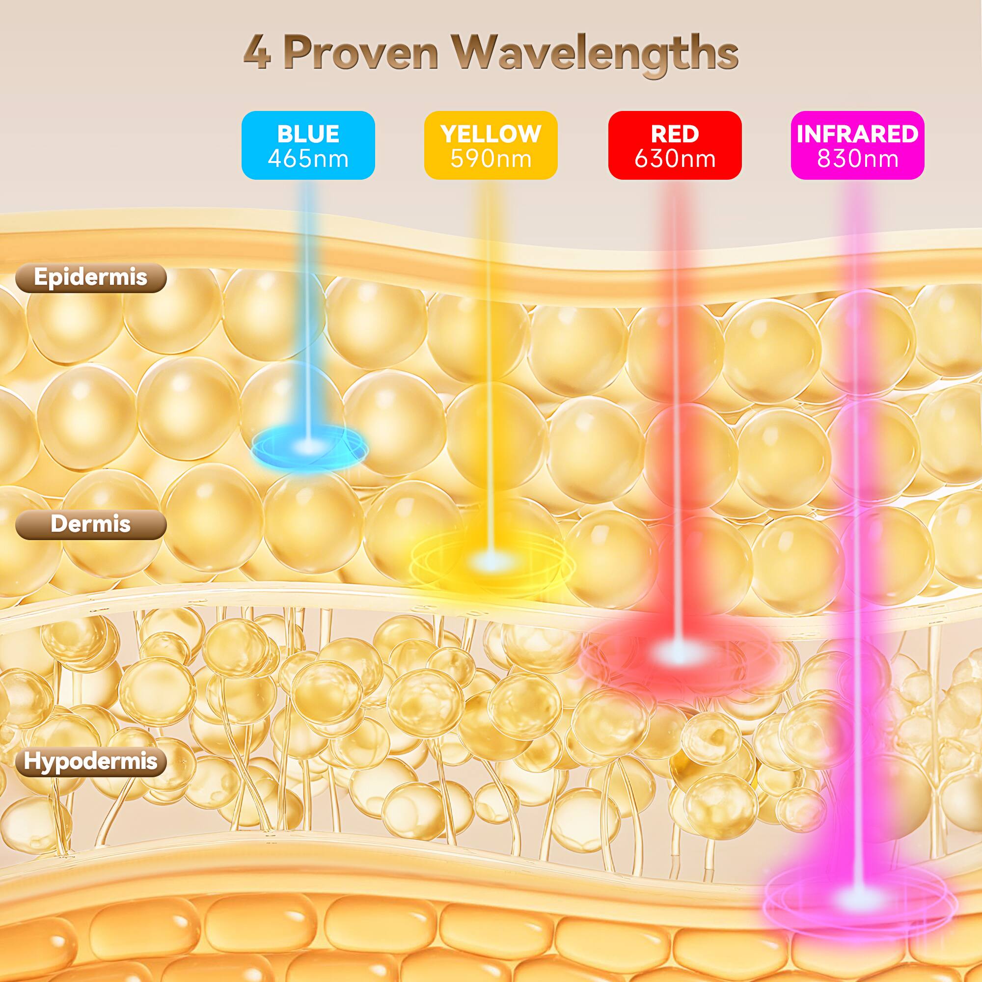 4 Proven Wavelengths

- BLUE 465nm
- YELLOW 590nm
- RED 630nm
- INFRARED 830nm

Epidermis  
Dermis  
Hypodermis