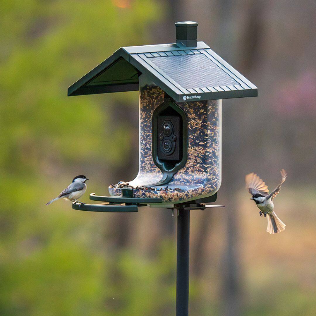 Left. Tactacam - WiFI enabled Smart Bird Feeder - Seed by FeatherSnap - Green, Clear.