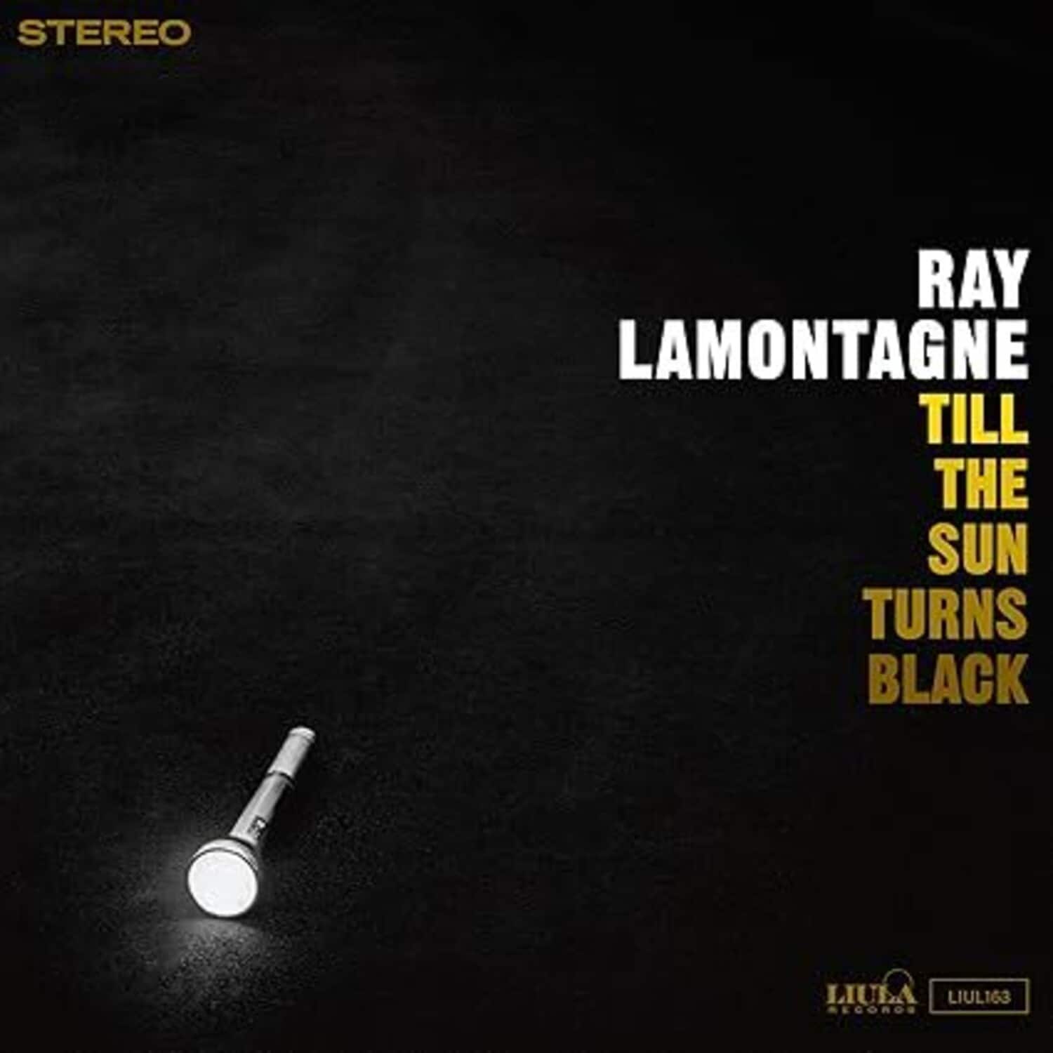 Ray LaMontagne - Till The Sun Turns Black   - VINYL LP price history on PriceWatchPro