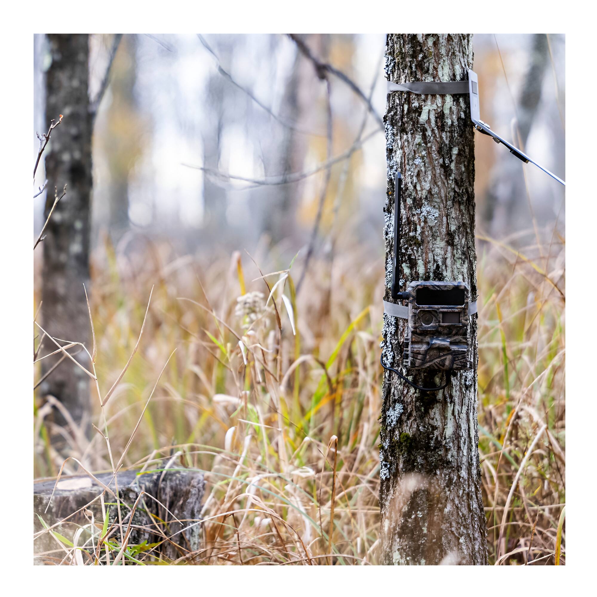 Angle. Yellowstone - Yellowstone Y2 Trail Camera Bundle with Card Reader and Accessories (4-Pack).