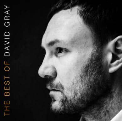 The Best of David Gray [LP] - VINYL