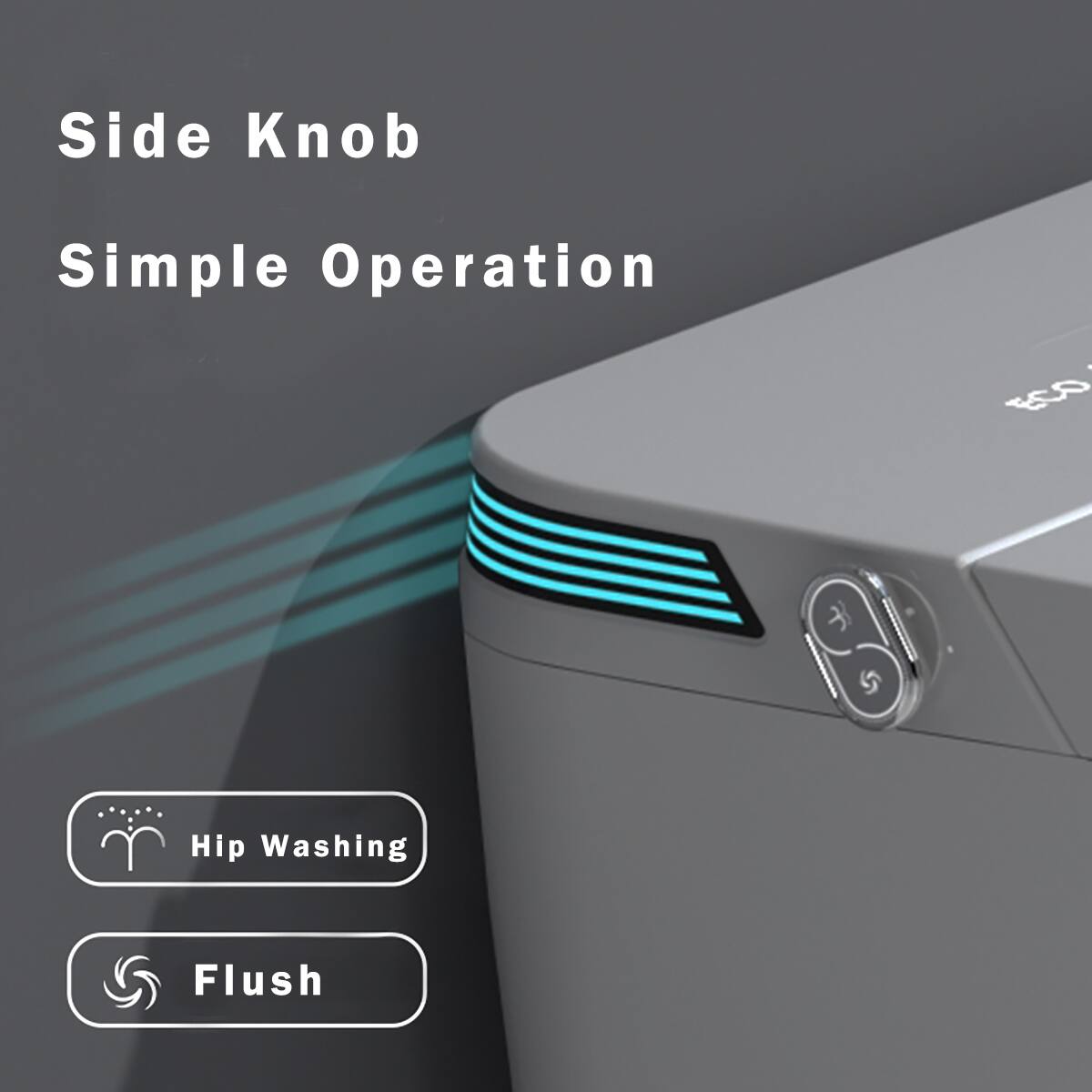 Side Knob  
Simple Operation  

Hip Washing  
Flush