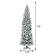 The text on the image reads "7.5ft 2.2ft," which indicates that the tree is 7.5 feet tall and 2.2 feet wide.