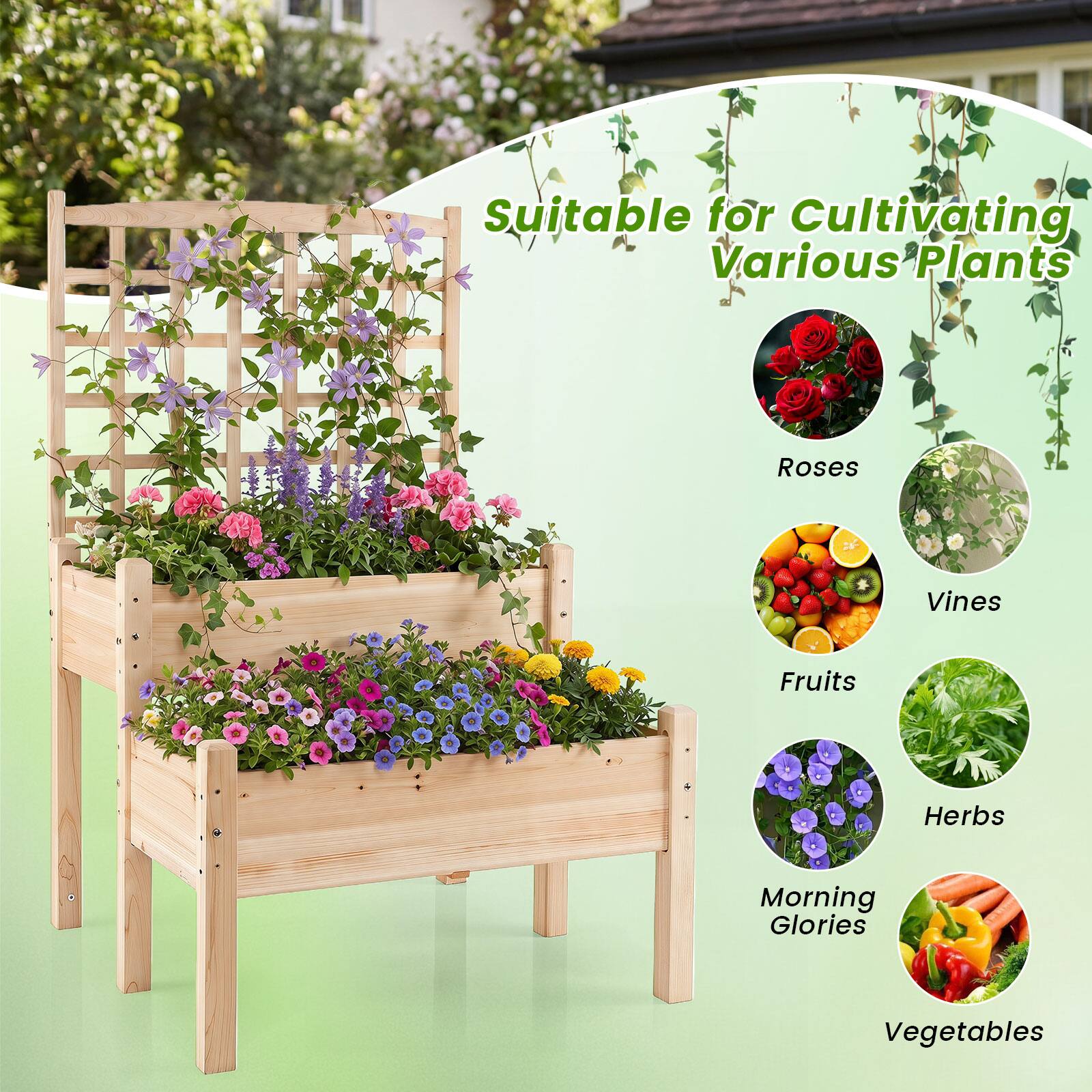 Suitable for Cultivating Various Plants: Roses, Vines, Fruits, Herbs, Morning Glories, Vegetables