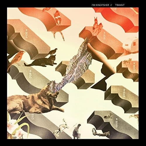 I'm Kingfisher - Transit   - VINYL LP