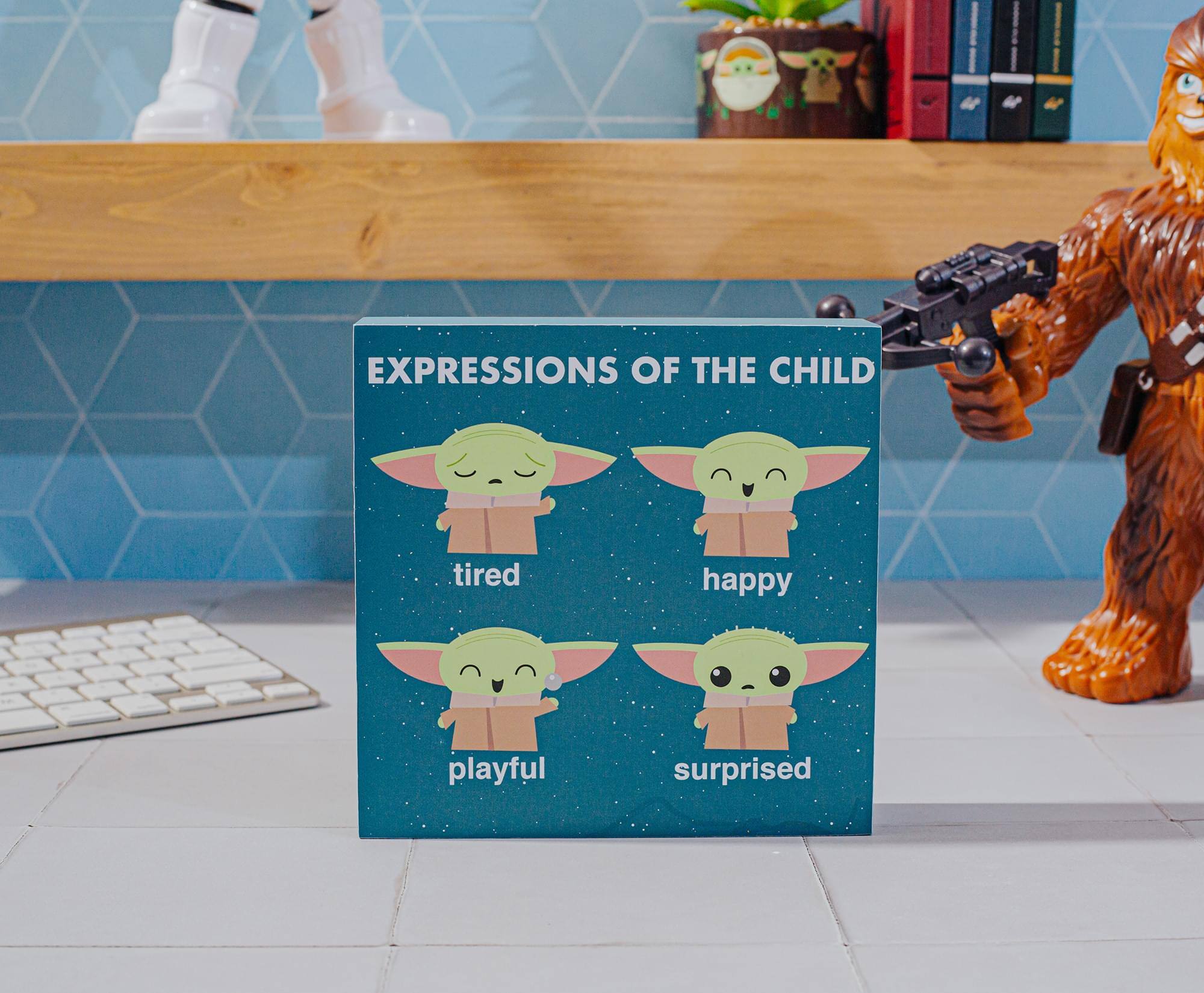 EXPRESSIONS OF THE CHILD

- tired
- happy
- playful
- surprised