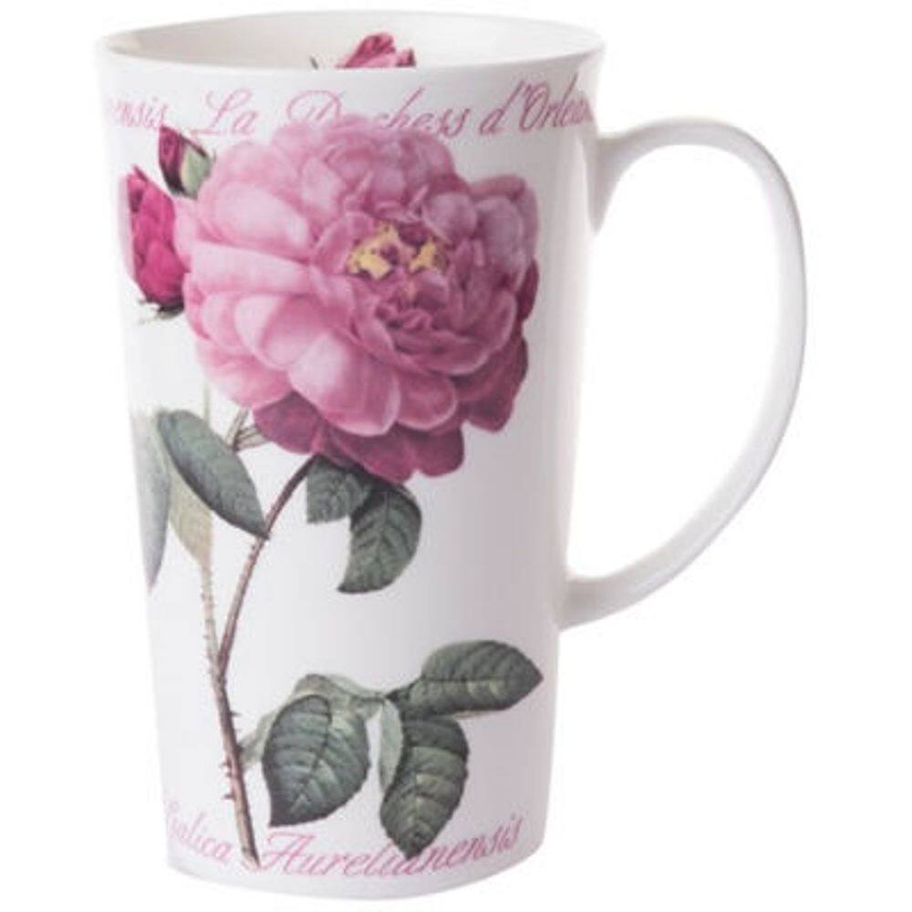 Rosa La Duchesse d'Orleans Rosalia Aurelianensis