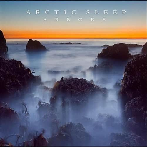 Arctic Sleep - Arbors  - COMPACT DISCS