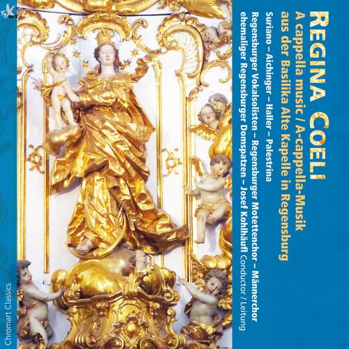 Aichinger / Regensburger Vokalsolisten - Regina Coelo   - COMPACT DISCS [CD]