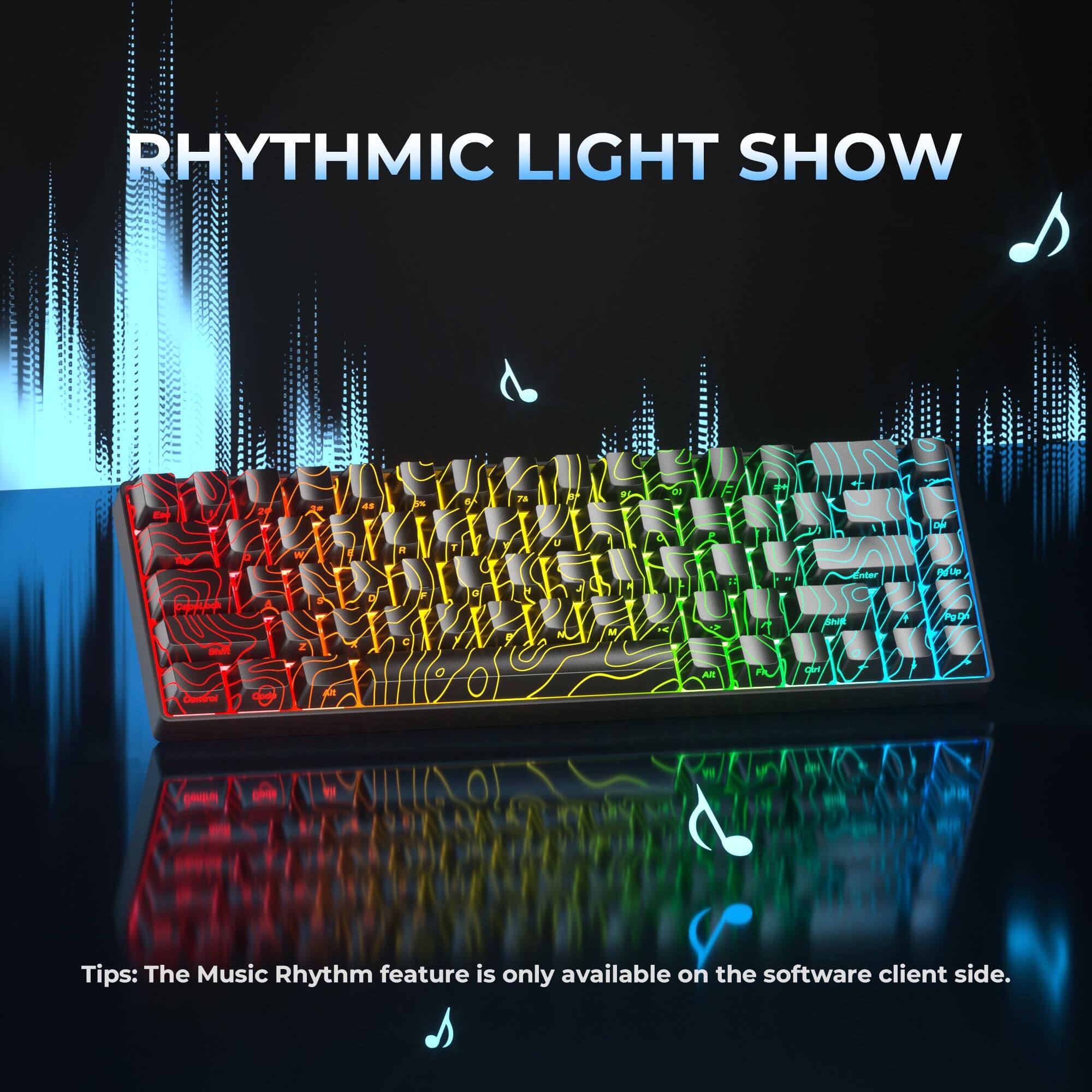 RHYTHMIC LIGHT SHOW

Tips: The Music Rhythm feature is only available on the software client side.