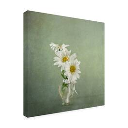 Trademark Fine Art - Katarina Holmstrom 3 White Daisies Canvas Art - 24 x 24 Inches - 24x24 - Multicolor