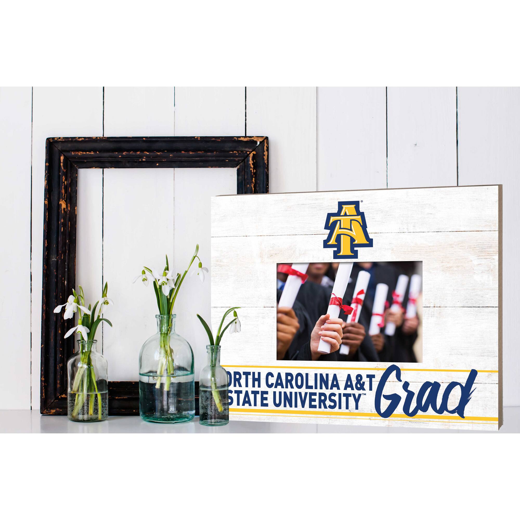 North Carolina A&T State University Grad