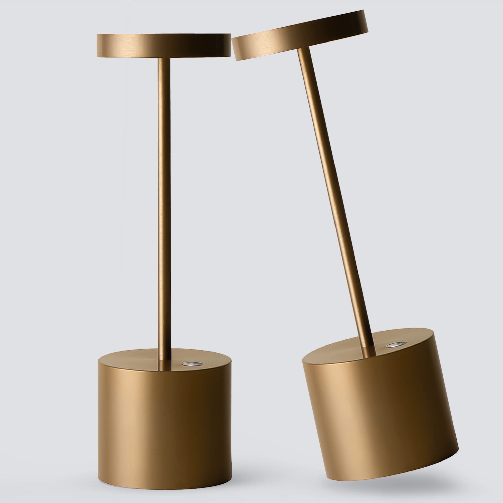 2pack 10.25in Titanium