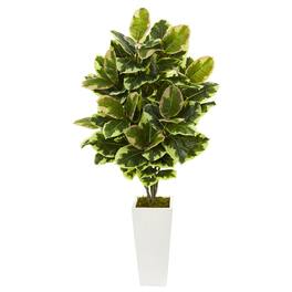BreeBe - 4' Variegated Rubber Leaf Plant in White Tower Vase - Green