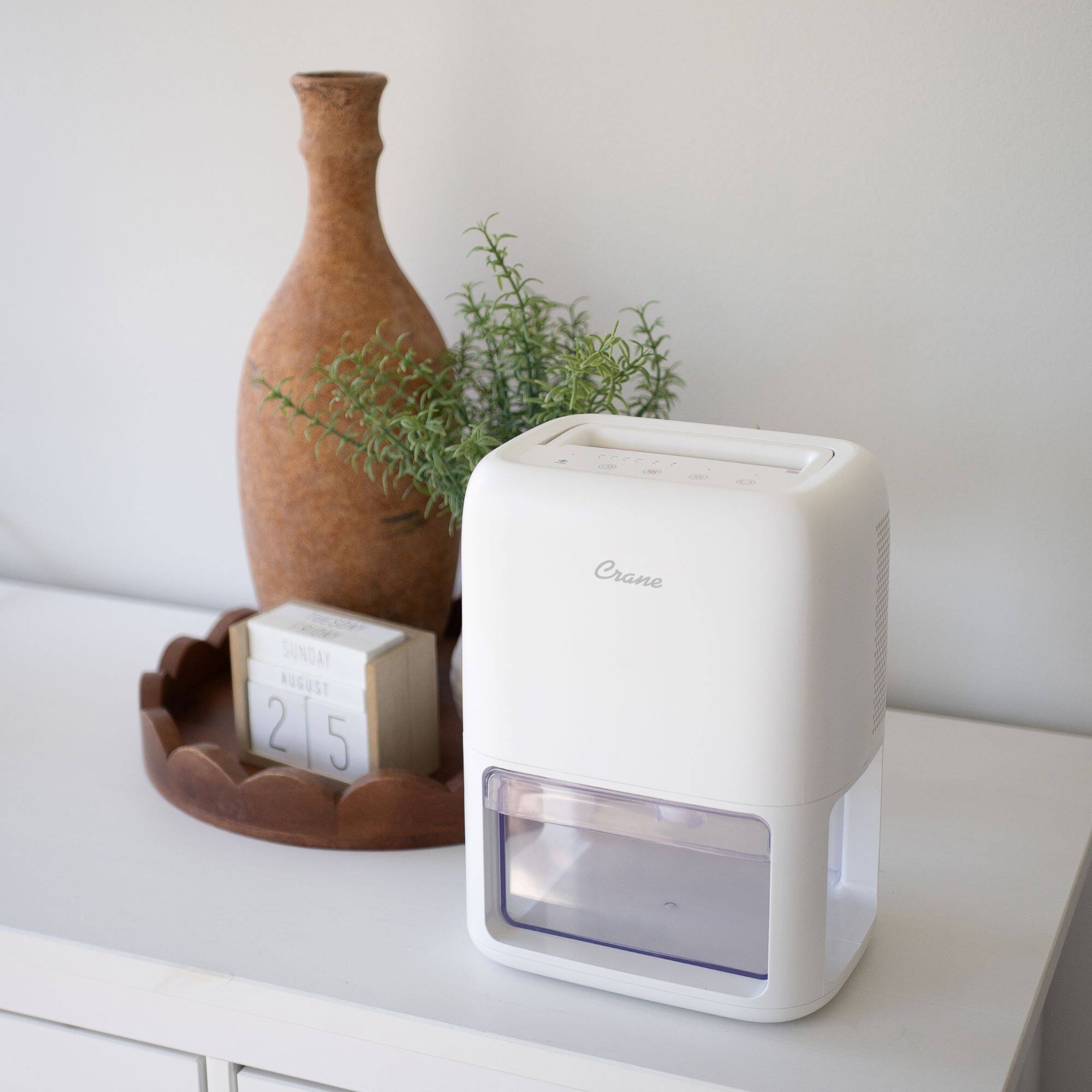 Crane  
SUNDAY  
AUGUST 21 5