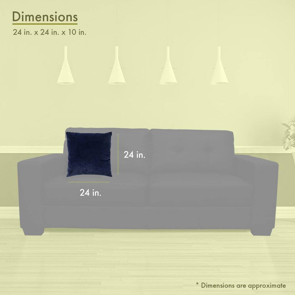 Dimensions  
24 in. x 24 in. x 10 in.  

24 in.  
24 in.  

* Dimensions are approximate