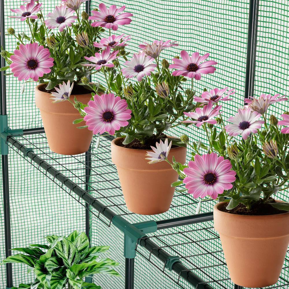 Alt View 1. Winado - 56"x29"x77" Walk-in Greenhouse, Outdoor Durable PE Plant Green House for Frost Protection with 3 Tiers 4 Shelves.