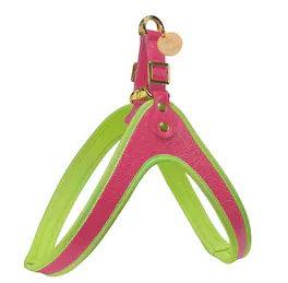 PoisePup - Real Leather Comfortable Step-in Harness for Dogs - Pink | Green